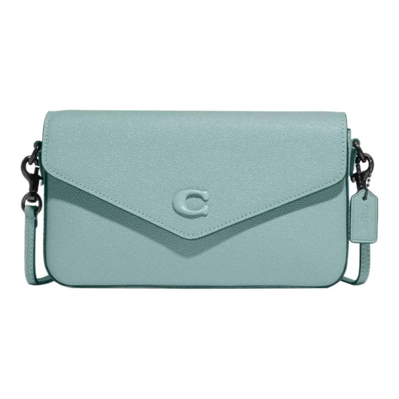 COACH Wyn Crossbody Bags-0