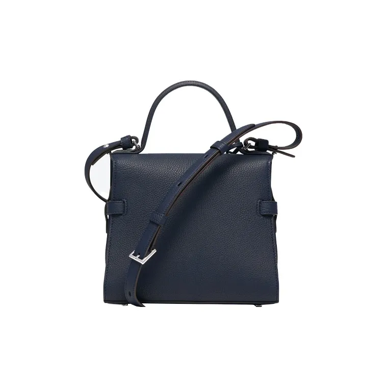Delvaux Tempête Handbags-2
