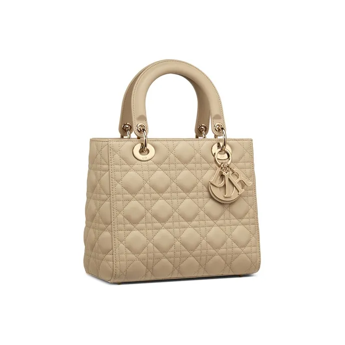 DIOR Lady DIOR Handbags-1