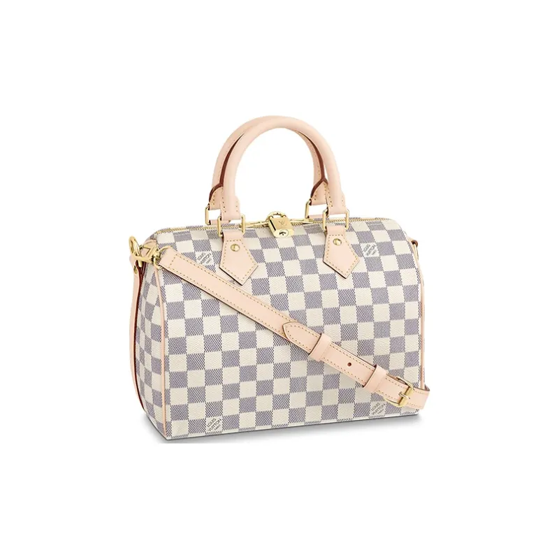 LOUIS VUITTON Speedy Handbags-0