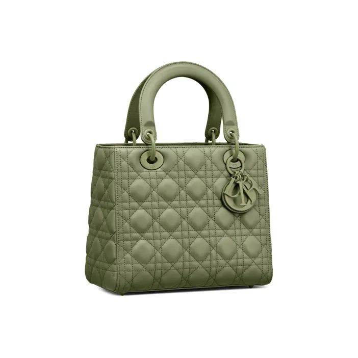 DIOR Lady DIOR Handbags-1