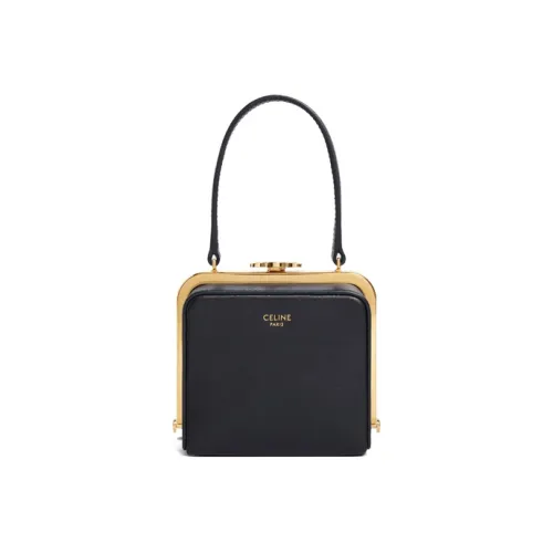 celebs with Celine Luggage Totes
