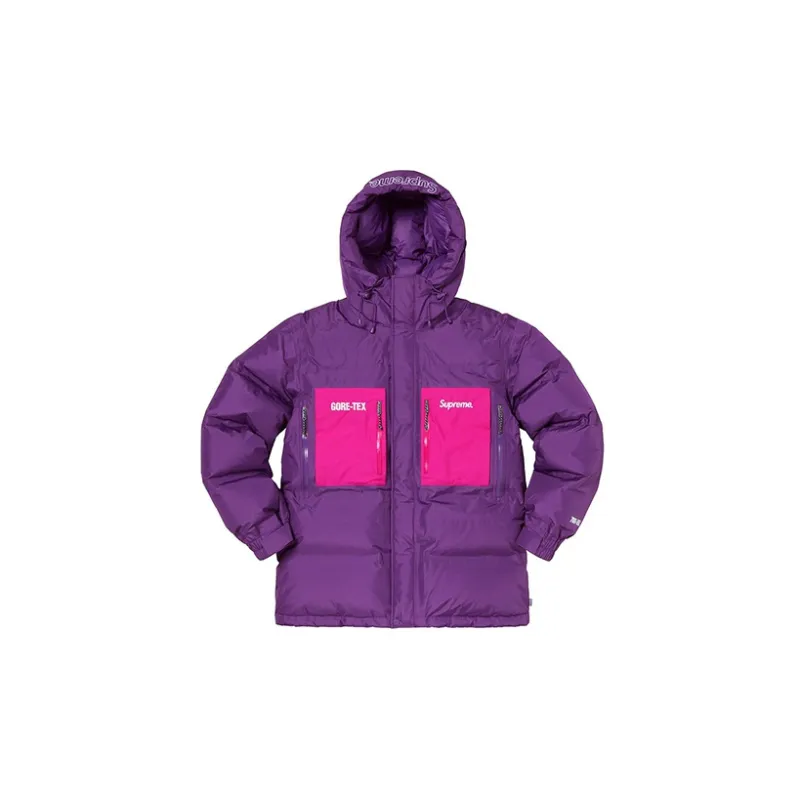 Supreme GORE-TEX 700-Fill Down Parka FW19 - Cheap Rcj Jordan Outlet