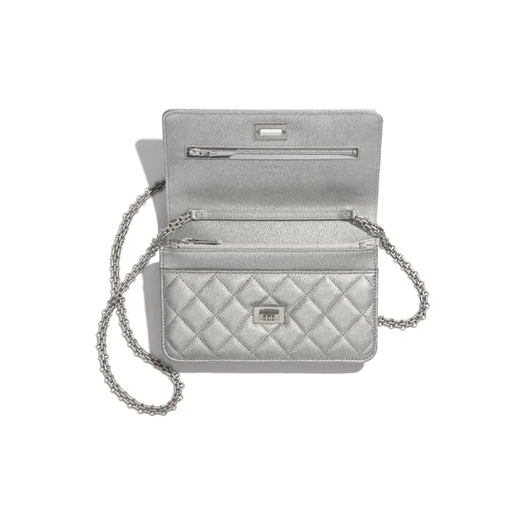 CHANEL WOC Crossbody Bags-1