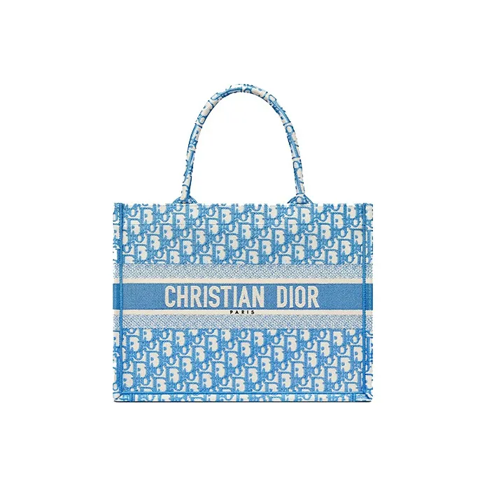 DIOR BookTote Handbag-0
