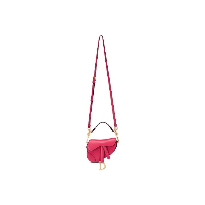 DIOR Saddle Handbags-1