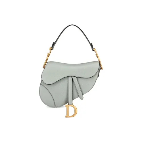 DIOR Saddle Handbags