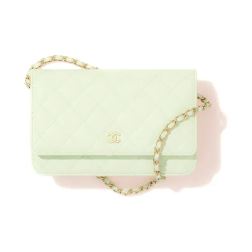 CHANEL 22c Early Spring Crossbody Bags