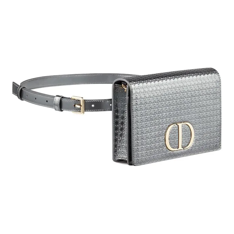 DIOR Fanny Packs-1
