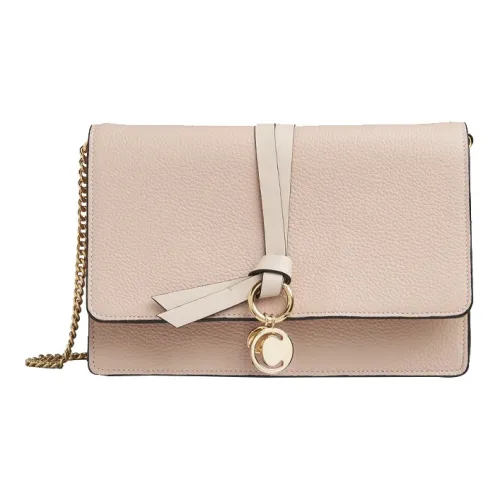 Chloé Bags Clutches