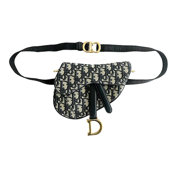 DIOR Saddle Canvas Saddle Bag, Crossbody Bag, Fanny Pack, Sling Bag Unisex Blue-0