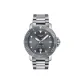 Gray Dial