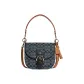 Bag+Dust Bag