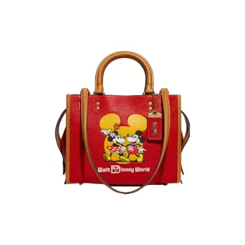 Disney X COACH Rogue Handbags