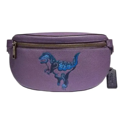 COACH Fanny Packs