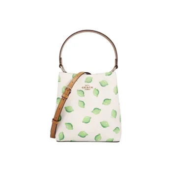 COACH Town Cow Leather Bucket Bag, One Shoulder Handbag Small Size Women's White/Green