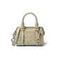 Bag+Dust Bag