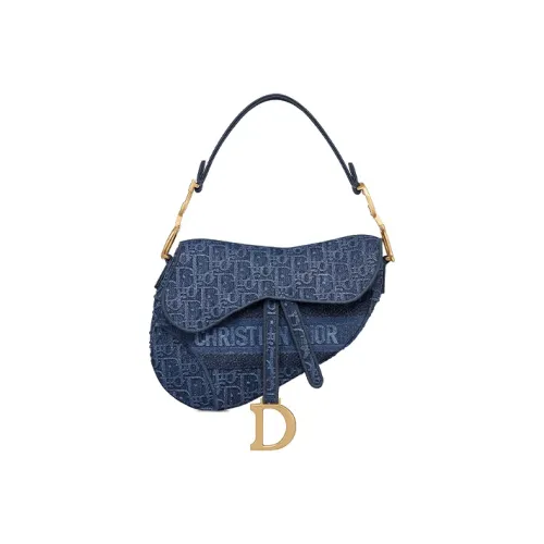 DIOR Saddle Shoulder Bags