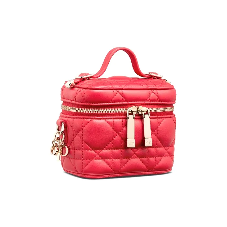DIOR Lady DIOR Makeup Bags-1