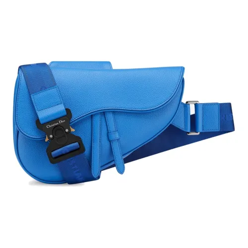 DIOR Saddle Sling Bags