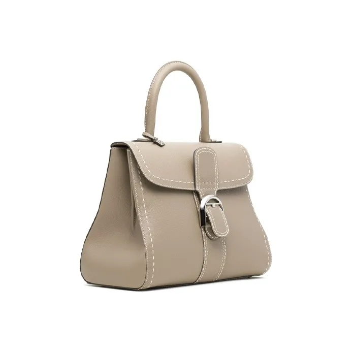 Delvaux Brillant Handbags-1