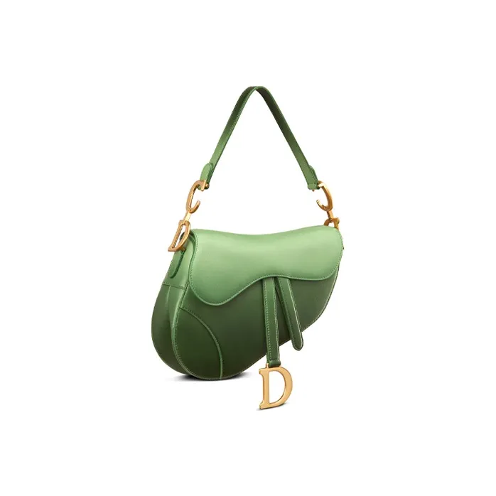 DIOR Saddle Cow Leather Saddle Bags Shoulder Bags Regular Women's Green-1