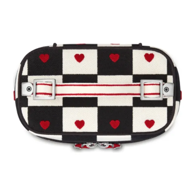 DIOR Travel Handbags-4