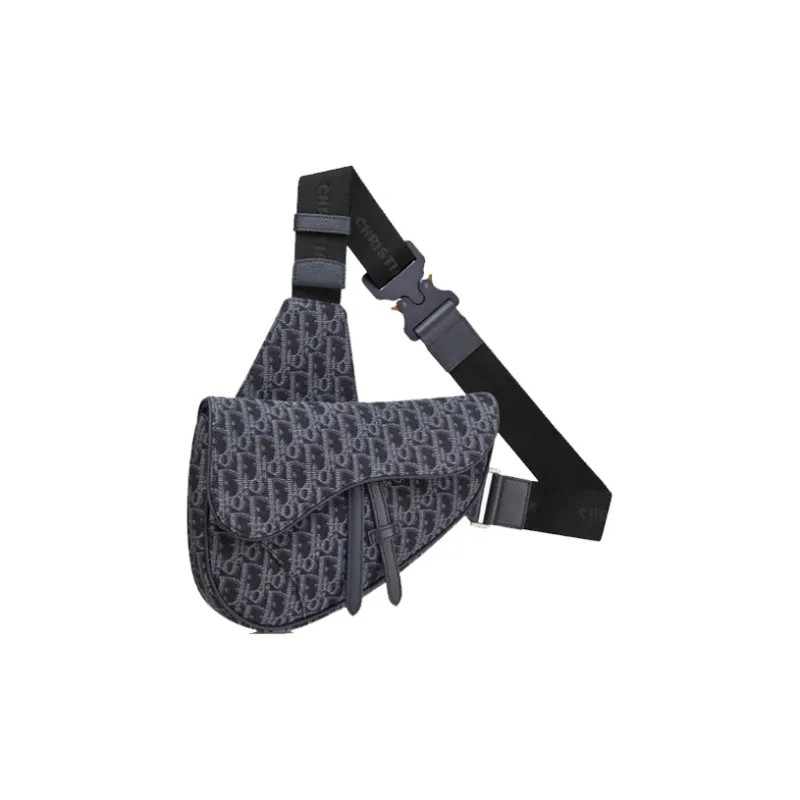 DIOR Saddle Cow Leather With Nylon Sling Bag Men's Blue-1