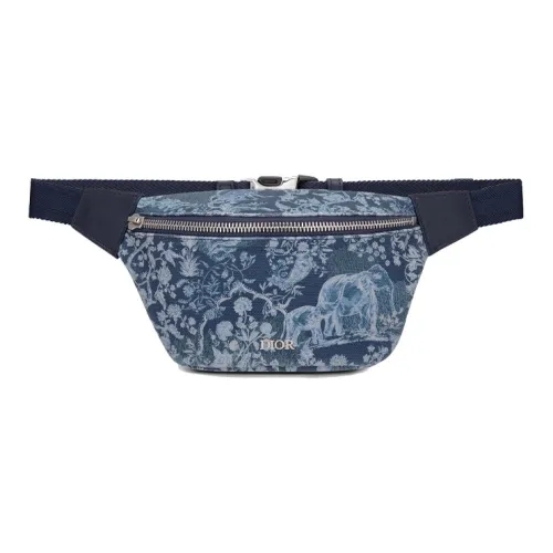 DIOR Fanny Packs