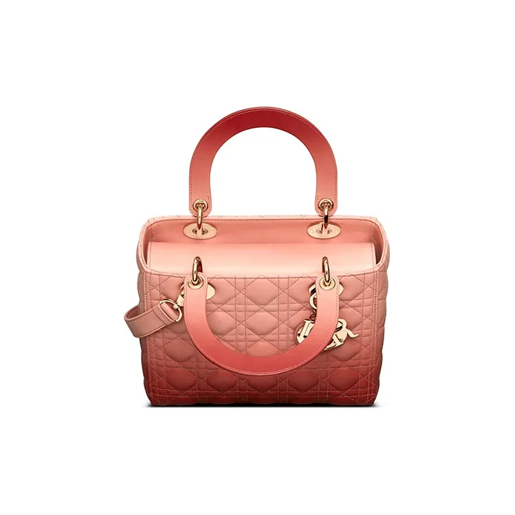 DIOR Leather Shoulder Bag Crossbody Bag Handbag Medium Size Women's Pink-2