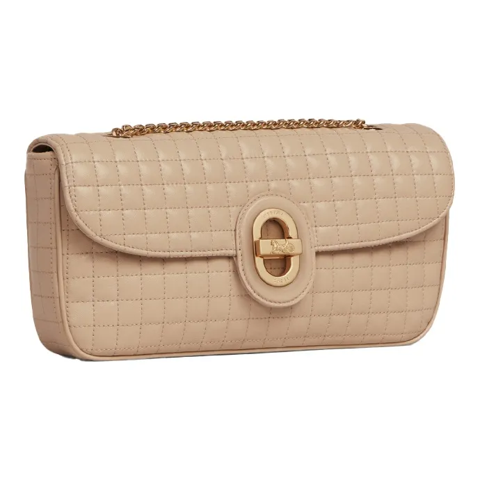 CELINE Crossbody Bags-1