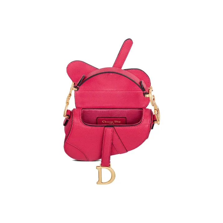 DIOR Saddle Handbags-3