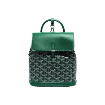 GOYARD Alpin Canvas With Leather One Shoulder Backpack Mini Women's Green