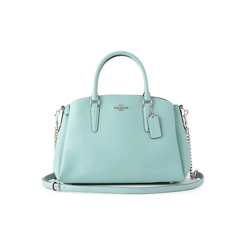 COACH Sage Handbags-0