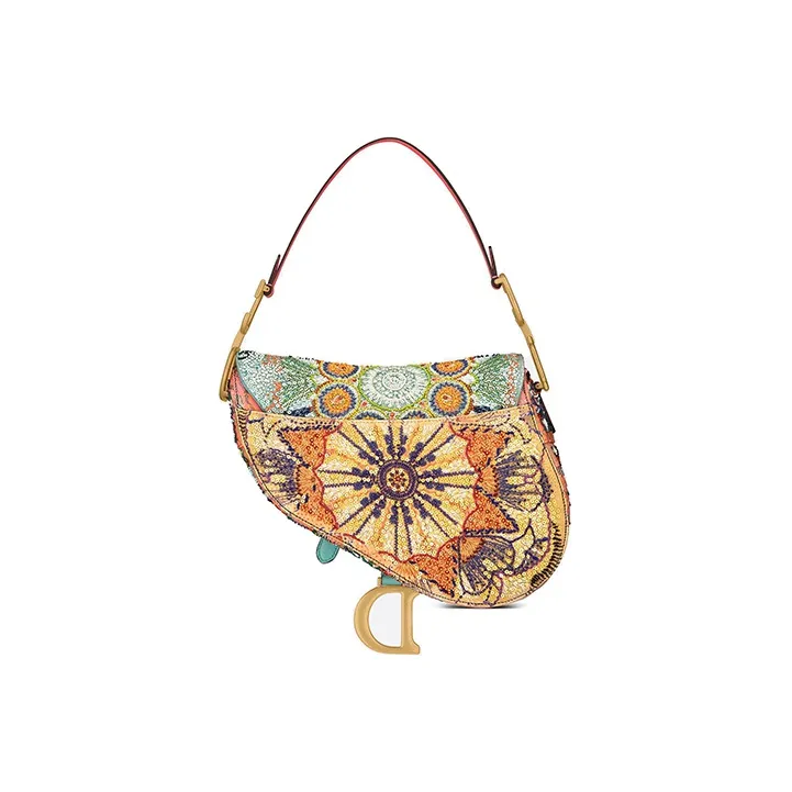 DIOR Saddle Handbags-2