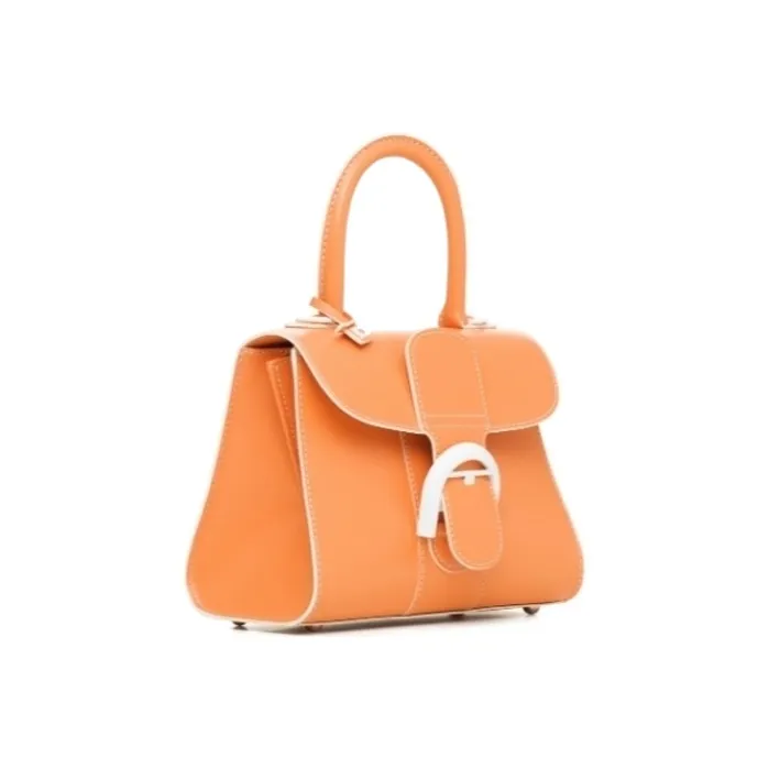 Delvaux Brillant Handbags-1
