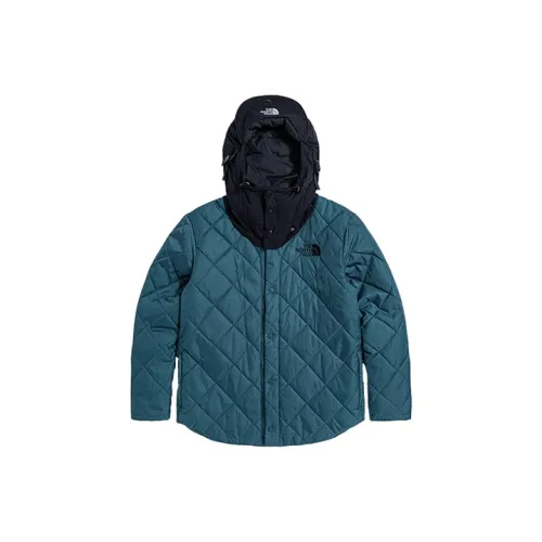 THE NORTH FACE Puffer Jackets Men Blue