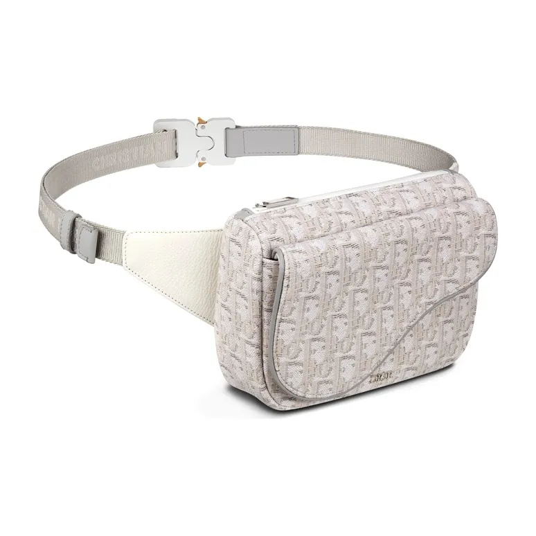 DIOR Saddle Cow Leather Fanny Pack Men's Beige/Grey White-1