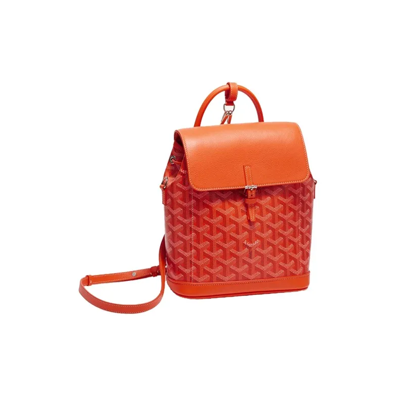 GOYARD Alpin Backpacks-1
