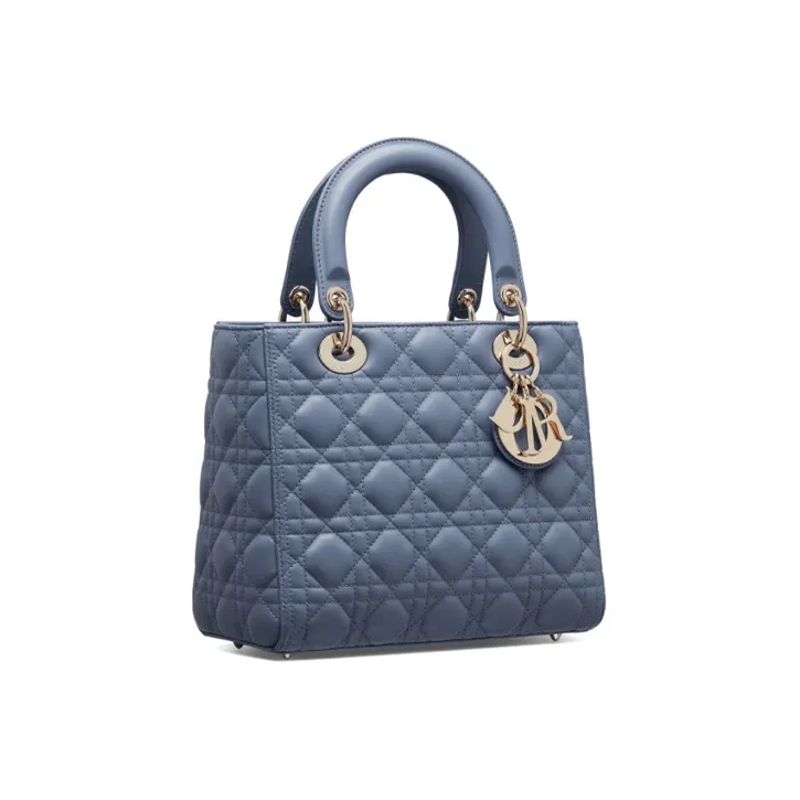 DIOR Lady DIOR Clutches-1
