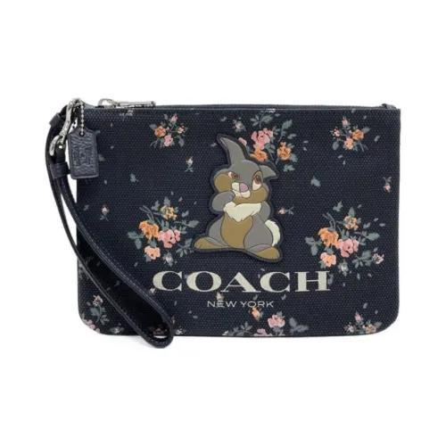 Disney X COACH Gallery Clutches