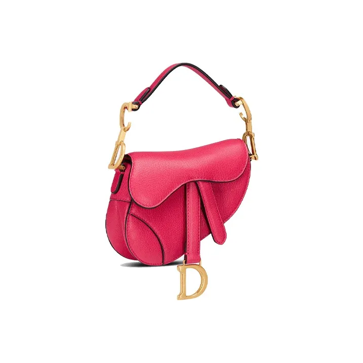 DIOR Saddle Handbags-2