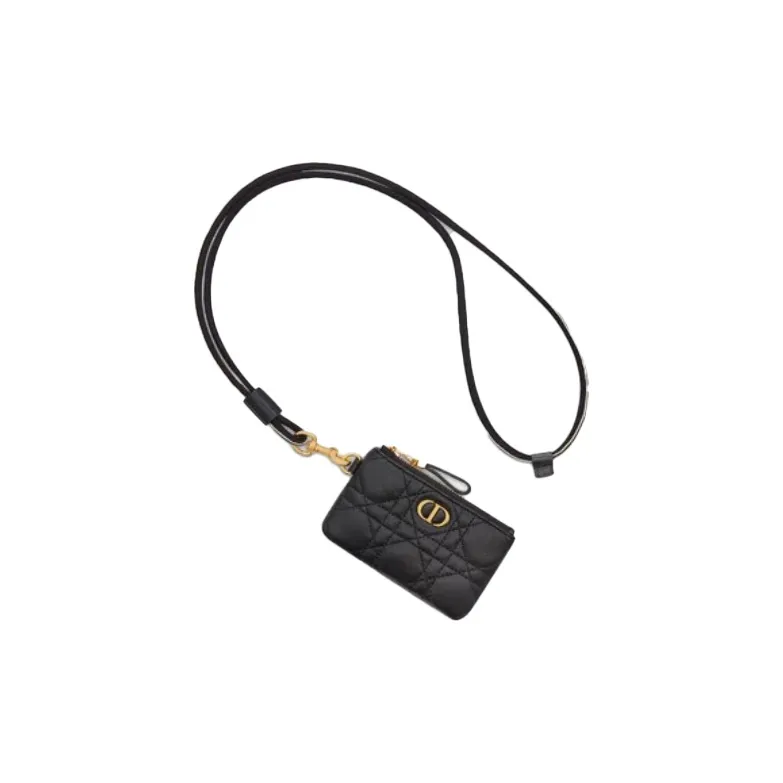 DIOR Caro Series Clutches-3