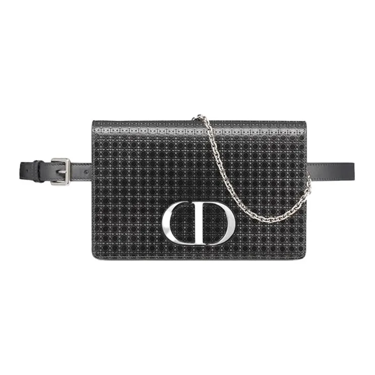 DIOR 30 Montaigne Clutches-1
