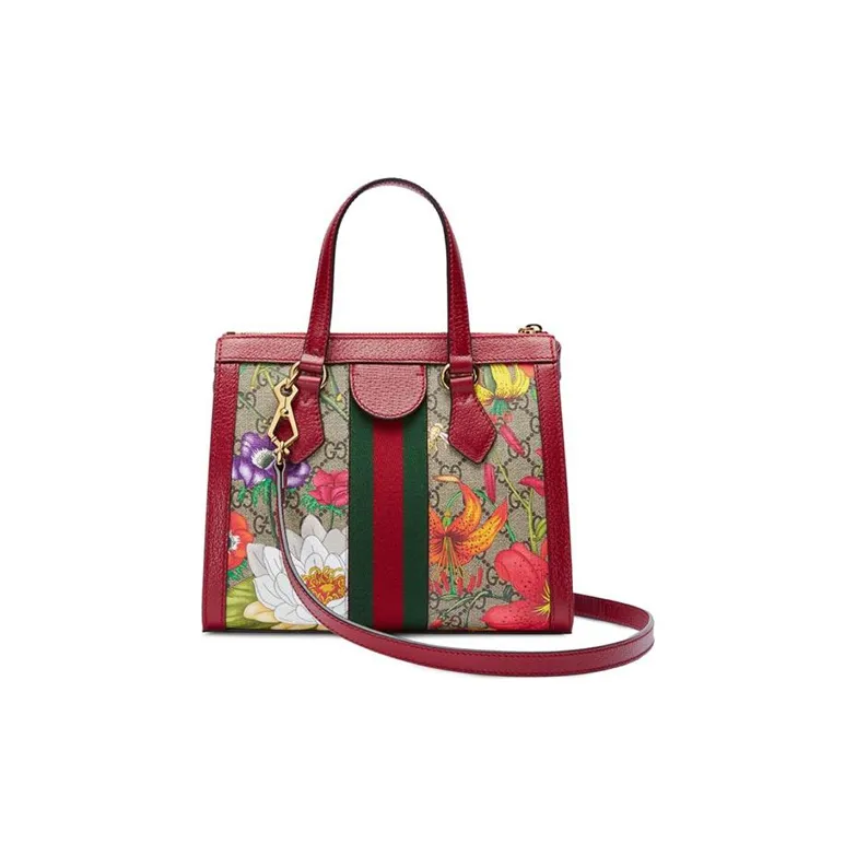 GUCCI Ophidia Handbags-1