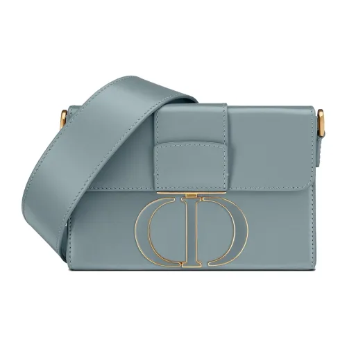 DIOR 30 Montaigne Shoulder Bags