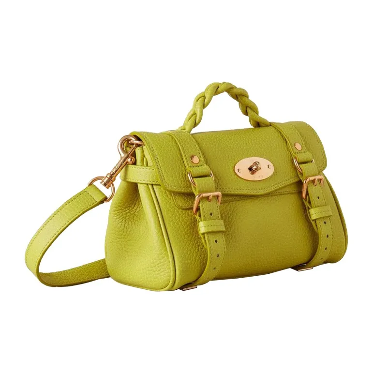 Mulberry Alexa Handbags-1