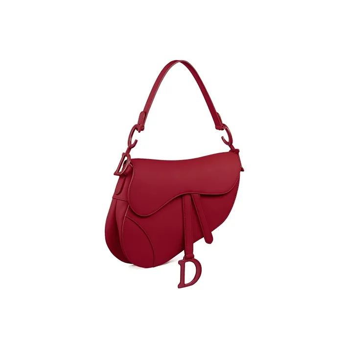 DIOR Saddle Handbags-1