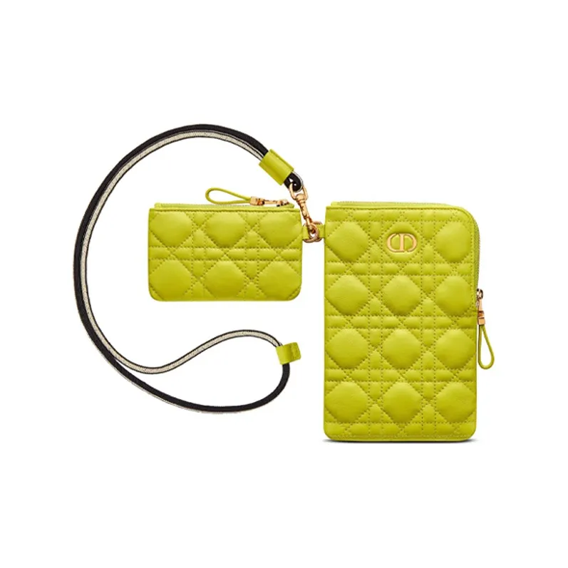 DIOR Caro Series Clutches-1