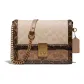 Bag+Dust Bag